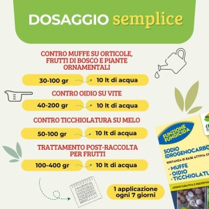 SODIO IDROGENOCARBONATO 1 Kg