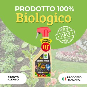 SAPONE MOLLE SPRAY 1 Lt RTU