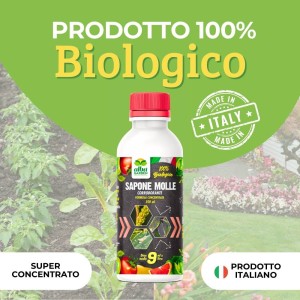 SAPONE MOLLE CONCENTRATO 500 ml