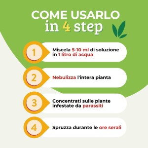 SAPONE MOLLE CONCENTRATO 500 ml