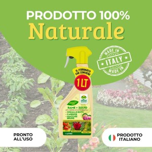 RAME + ZOLFO SPRAY 1 Lt RTU