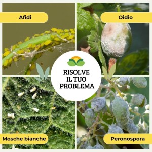 PROPOLIS SPRAY 1 Lt  RTU