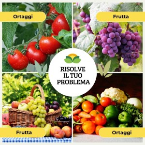 OMEOKURA ORTOFRUTTA 750 ml