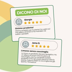 OLIO DI NEEM SPRAY 1 Lt  RTU