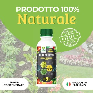 OLIO DI NEEM CONCENTRATO 500 ml