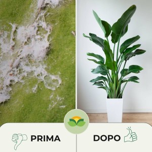 OLIO DI NEEM + ORTICA SPRAY 250 ml