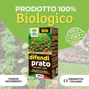 DIFENDI PRATO MICORRIZE 100 g