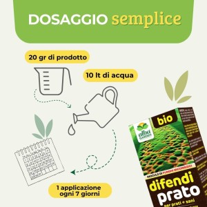 DIFENDI PRATO MICORRIZE 100 g