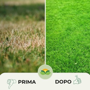 DIFENDI PRATO MICORRIZE 100 g