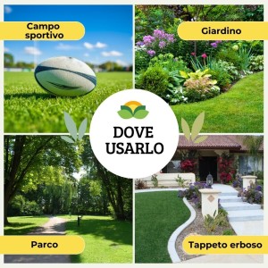 DIFENDI PRATO MICORRIZE 100 g