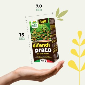DIFENDI PRATO MICORRIZE 100 g