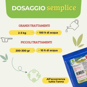CAOLINO POLVERE DI ROCCIA 200 g