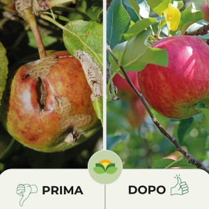 CAOLINO POLVERE DI ROCCIA 200 g