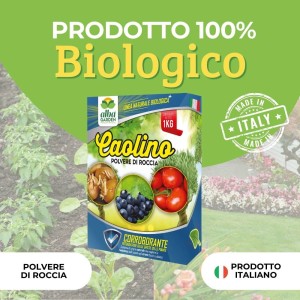 CAOLINO POLVERE DI ROCCIA 1 Kg