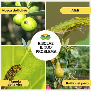 CAOLINO POLVERE DI ROCCIA 1 Kg