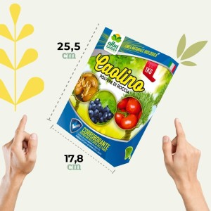 CAOLINO POLVERE DI ROCCIA 1 Kg