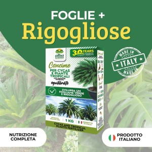 CONCIME GRANULARE CYCAS E PIANTE TROPICALI 1 Kg