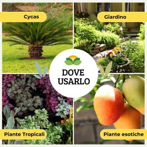 CONCIME GRANULARE CYCAS E PIANTE TROPICALI 1 Kg