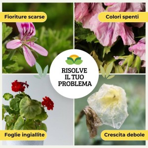 CONCIME GRANULARE PER GERANI E PIANTE FIORITE 1 Kg