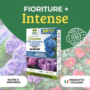 CONCIME GRANULARE PER ORTENSIE E ACIDOFILE 1 Kg