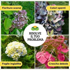 CONCIME GRANULARE PER ORTENSIE E ACIDOFILE 1 Kg