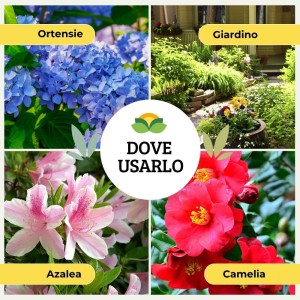 CONCIME GRANULARE PER ORTENSIE E ACIDOFILE 1 Kg