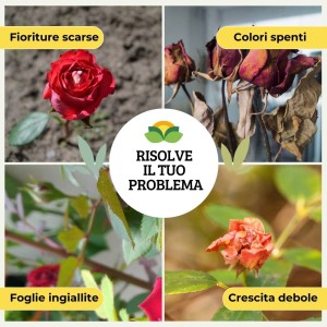 CONCIME GRANULARE PER ROSE 1 Kg