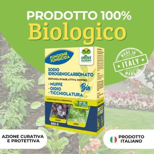 SODIO IDROGENOCARBONATO 500 g