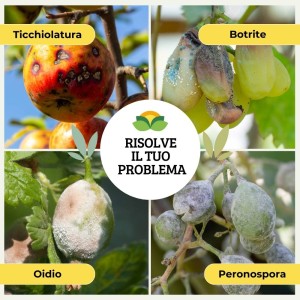 SODIO IDROGENOCARBONATO 500 g