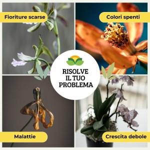 CONCIME IN POLVERE PER ORCHIDEE 300 g
