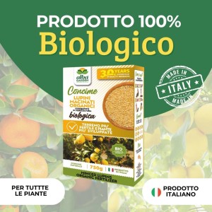 LUPINI MACINATI 750 g