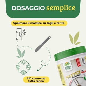 MASTICE PER INNESTI CON RAME 200 g