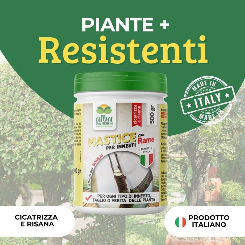 MASTICE PER INNESTI Per Ferite Delle Piante Biologico CORTEXA 250 GR Vebi 84879304