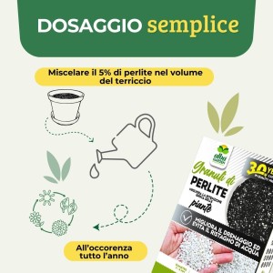 PERLITE 2 Lt
