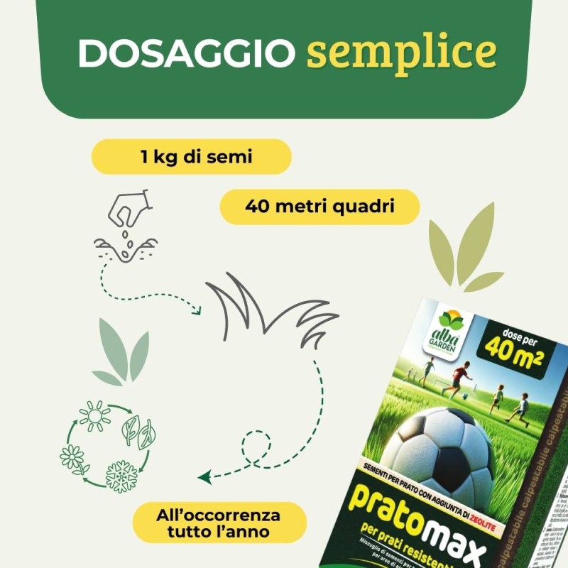 Prato Calpestabile Crescita Rapida Semi Di Prato Greenato Sport - Foto 5