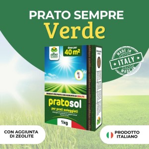 PRATO SOL SEME PRATO SOLEGGIATO 1 Kg