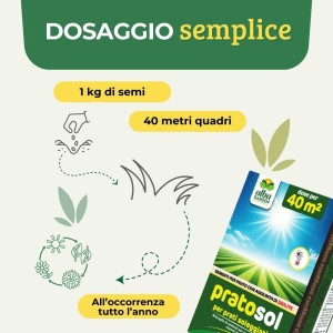 PRATO SOL SEME PRATO SOLEGGIATO 1 Kg