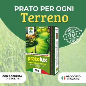 PRATO LUX SEME PRATO UNIVERSALE 1 Kg
