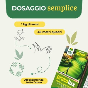 PRATO LUX SEME PRATO UNIVERSALE 1 Kg