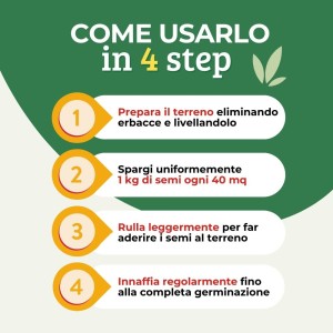 PRATO LUX SEME PRATO UNIVERSALE 1 Kg