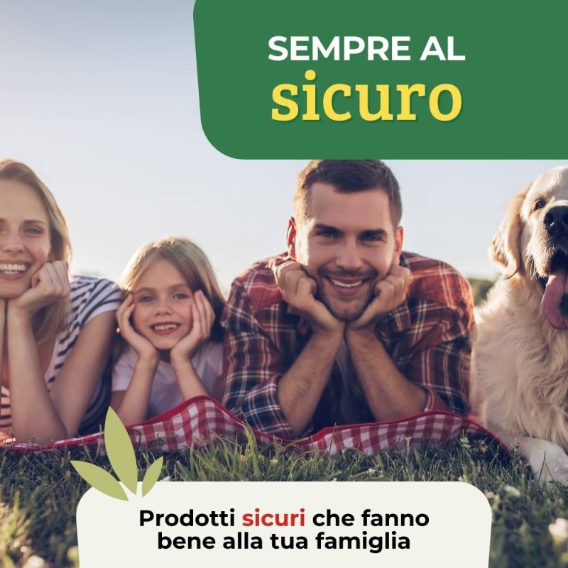 Semi Di Erba Per Prati E Pascoli 10 Kg VidaXL - Foto 13