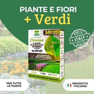 SOLFATO FERROSO GRANULARE 1 Kg