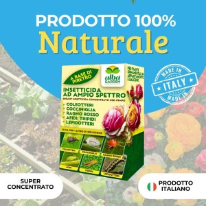 INSETTICIDA SPRUZIT CONCENTRATO 10 ml