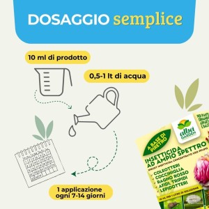 INSETTICIDA SPRUZIT CONCENTRATO 10 ml