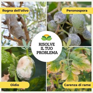 CUPROLIVO FLOW 1 Kg