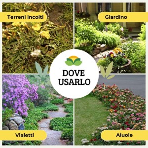 DISERBANTE TOTALE GLIFENE PFnPE 500 ml