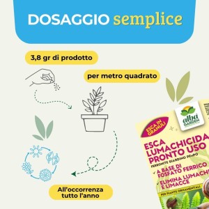 ESCA LUMACHICIDA FERRONITE PFnPO 200 g