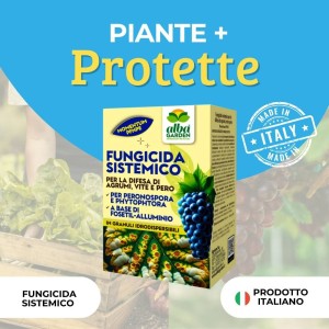 MOMENTUM PFnPE 180 g
