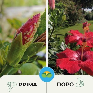 INSETTICIDA PIRETRO GARDEN PFnPO SPRAY 500 ml RTU