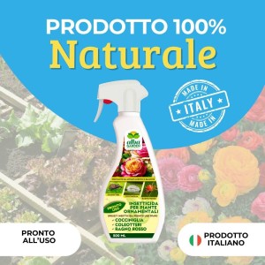INSETTICIDA SPRUZIT PFnPO SPRAY 500 ml RTU